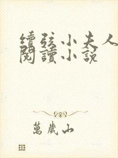 续弦小夫人在线阅读小说