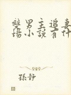 双男主追妻火葬场小说有什么