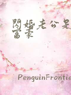 闪婚老公是亿万富豪