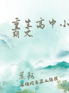 重生高中小说学霸文