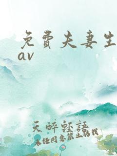 免费夫妻生活片av