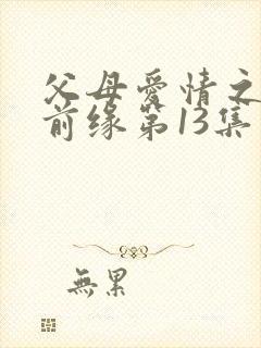 父母爱情之再续前缘第13集