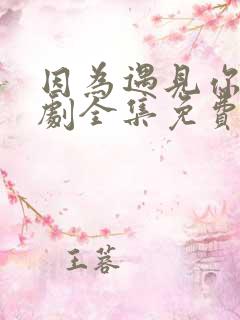 因为遇见你电视剧全集免费观看