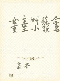 女主叫苏念笙的重生小说名字