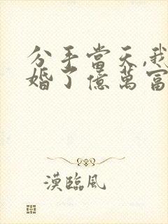 分手当天,我闪婚了亿万富豪