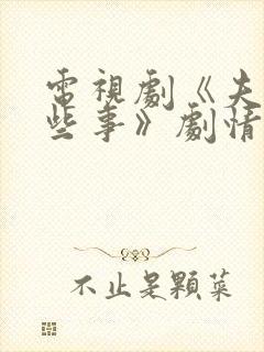 电视剧《夫妻那些事》剧情