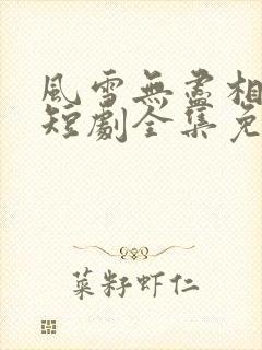 风雪无尽相思情短剧全集免费观看高清