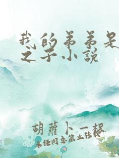 我的弟弟是天选之子小说