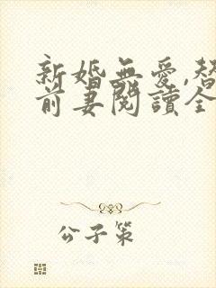新婚无爱,替罪前妻阅读全文全文