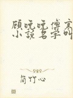 顾晚晚傅寒廷的小说名字叫什么