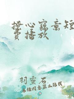 撩心窃意短剧免费播放