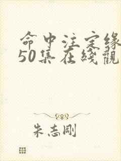 命中注定缘归来50集在线观看