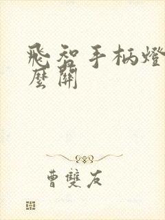 飞智手柄灯光怎么关