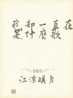 我却一直在等你是什么歌