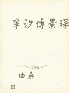 宁汐傅景琛全文