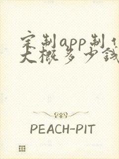 定制app制作大概多少钱