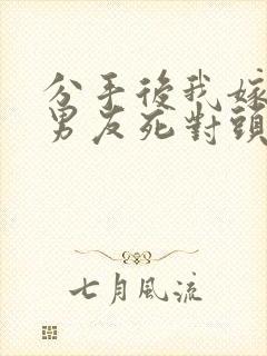 分手后我嫁给前男友死对头宋颜小说阅读