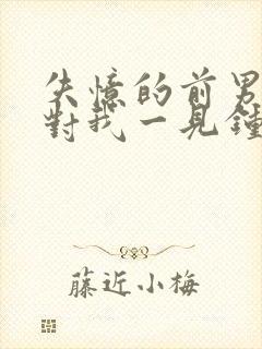 失忆的前男友又对我一见钟情了小说