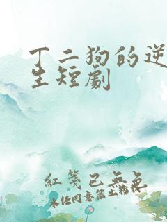 丁二狗的逆袭人生短剧