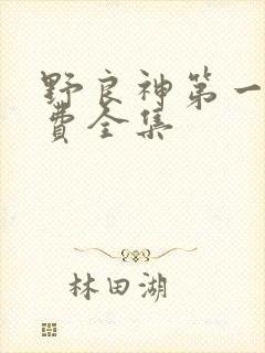 野良神第一季免费全集