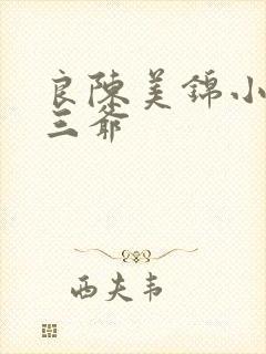 良陈美锦小说陈三爷