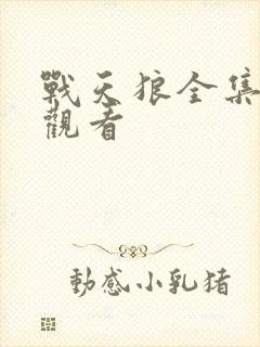 战天狼全集免费观看