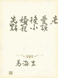 先婚后爱老公轻点宠小说