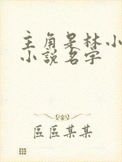 主角是林小天的小说名字