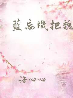 蓝忘机把魏无羡