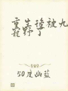 重生后被九王爷宠野了