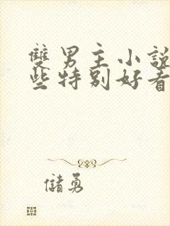 双男主小说有哪些特别好看的