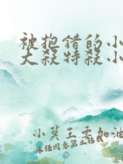 被抱错的小少爷大杀特杀小说