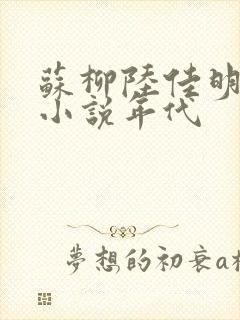 苏柳陆佳明穿越小说年代