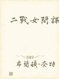 二战女间谍电影