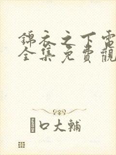 锦衣之下电视剧全集免费观看高清