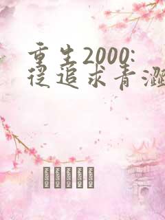 重生2000:从追求青涩校花同桌开始小说