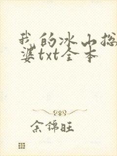 我的冰山总裁老婆txt全本