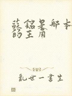 苏铭是哪本小说的主角