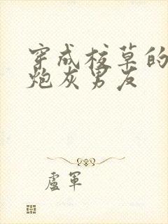 穿成校草的纯1炮灰男友