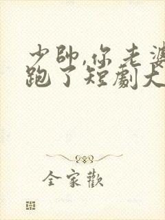 少帅,你老婆又跑了短剧大结局