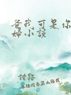 爸我可是你儿媳妇小说