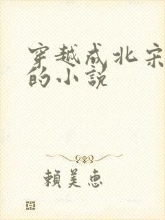 穿越成北宋赵谌的小说