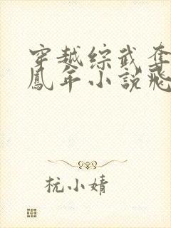 穿越综武夺舍徐凤年小说飞卢