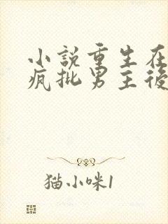 小说重生在拒绝疯批男主后观看