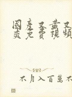 国产又黄又长又爽免费视频