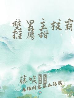 双男主校霸小说推荐甜