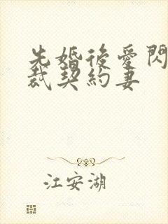 先婚后爱闪婚总裁契约妻