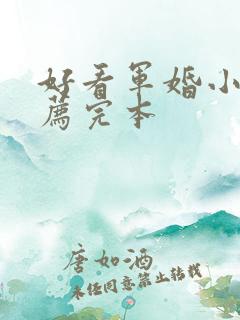 好看军婚小说推荐完本