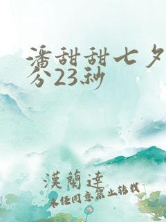 潘甜甜七夕43分23秒