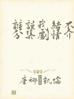 谁说我结不了婚分集剧情介绍